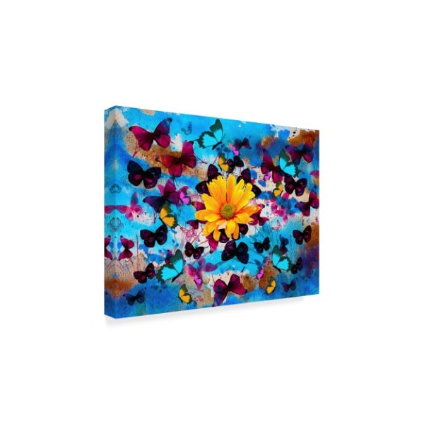 Ata Alishahi 'Daisy And Butterflies' Canvas Art,24x32